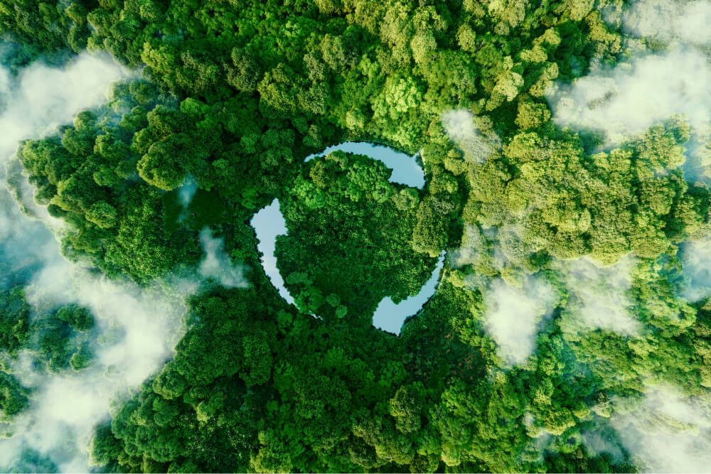 Sustainability Vision and Environment-Based Approach Blog